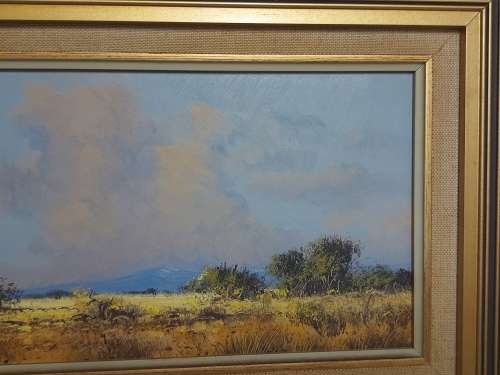 INVESTMENT ART: ORIGINAL FRANCOIS BADENHORST OIL ON BOARD PAINTING WITH A BEAUTIFUL FRAME