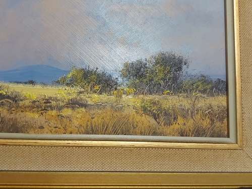 INVESTMENT ART: ORIGINAL FRANCOIS BADENHORST OIL ON BOARD PAINTING WITH A BEAUTIFUL FRAME