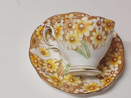 VINTAGE 1930s ROYAL ALBERT  MARYLAND CUP AND SAUCER