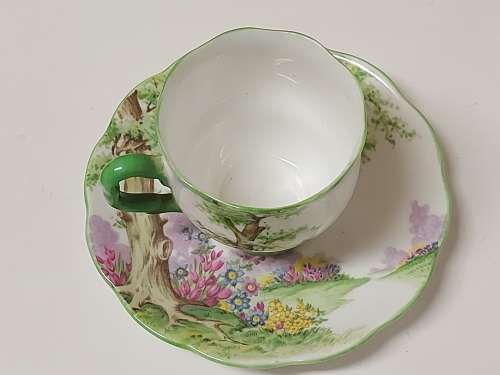 AWESOME VINTAGE 1927-1935 ROYAL ALBERT CROWN CHINA GREENWOOD TREE DEMITASSE DUO