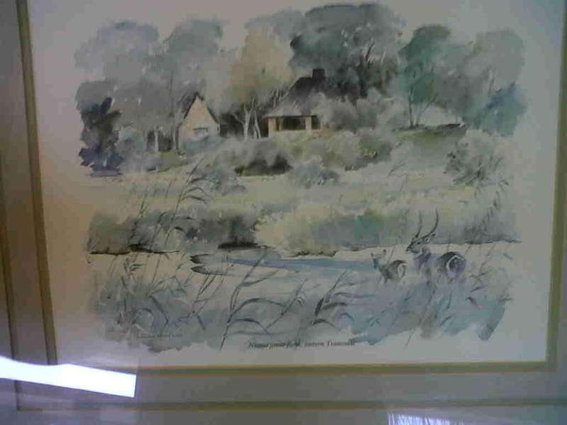 Patricia Vaughan Transvaal watercolour painting