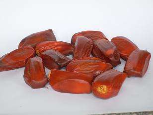 Lebomboensis seeds!