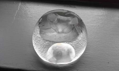 ***Crystal Led Signed Koala paperweight Structure***