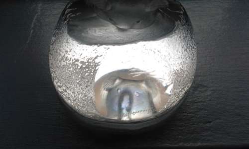 ***Crystal Led Signed Koala paperweight Structure***