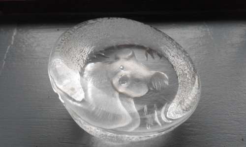 ***Crystal Led Signed Koala paperweight Structure***