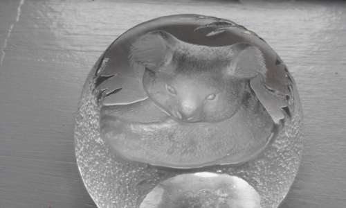 ***Crystal Led Signed Koala paperweight Structure***
