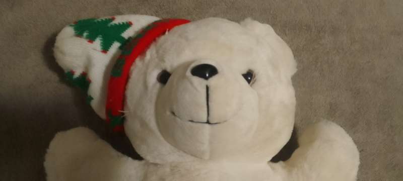 CNA Bentley & Friends Teddy Bear