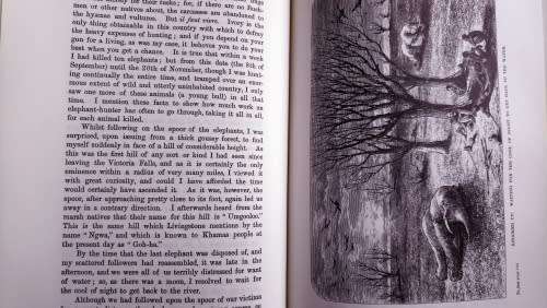 "A Hunter's Wanderings in Africa" by FC Selous (1985 edition)
