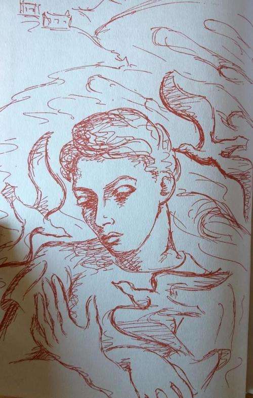 Kamerade - Johannes Meintjies (rare first edition)