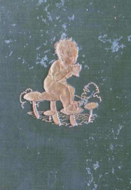 Peter Pan in Kensington Gardens (1909 edition) colour plates by Arthur Rackham