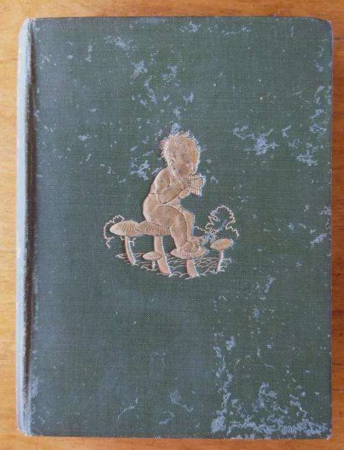 Peter Pan in Kensington Gardens (1909 edition) colour plates by Arthur Rackham
