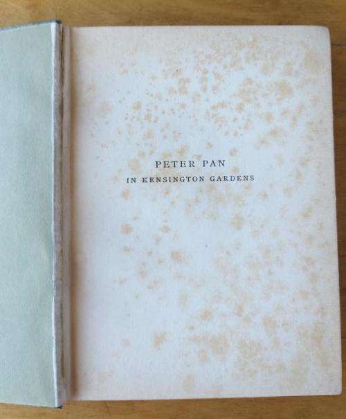 Peter Pan in Kensington Gardens (1909 edition) colour plates by Arthur Rackham