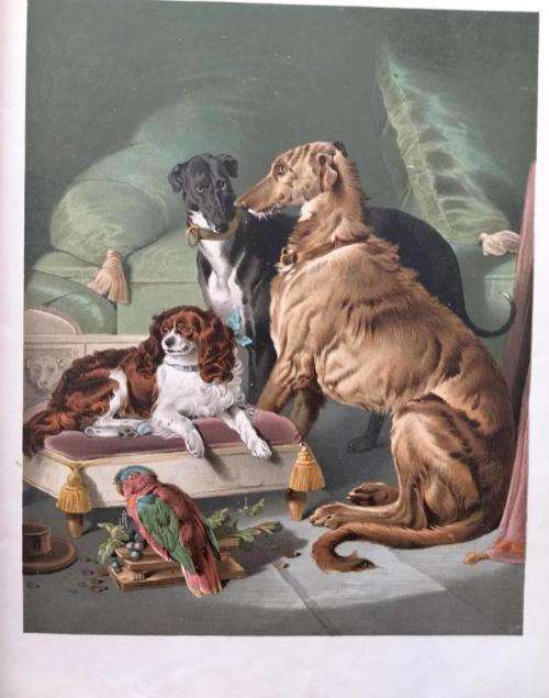 Pictures by Landseer (1882 first edition)