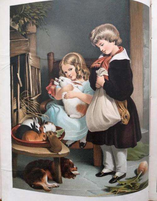 Pictures by Landseer (1882 first edition)