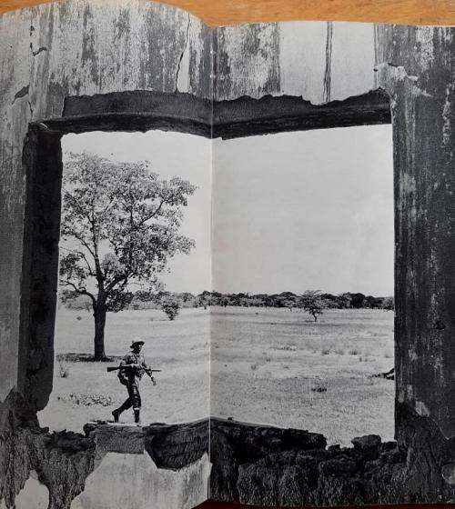 Savimbi's Angola- Cloete Breytenbach
