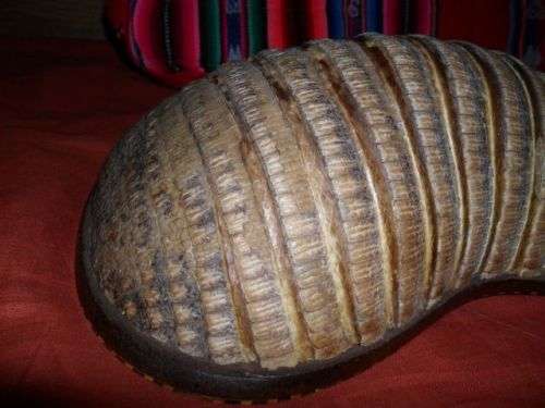 VINTAGE ARMADILLO CHARANGO GUITAR PLUS SOFT CASE