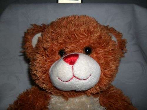BUILD A BEAR WORKSHOP BEAR 40CM - DISNEY HIGH SCHOOL MUSICAL BEAR