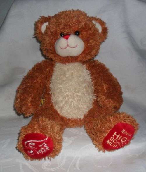 BUILD A BEAR WORKSHOP BEAR 40CM - DISNEY HIGH SCHOOL MUSICAL BEAR