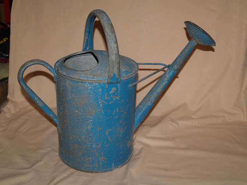 2 GAL VINTAGE WATERING CAN INCLUDING ROSE