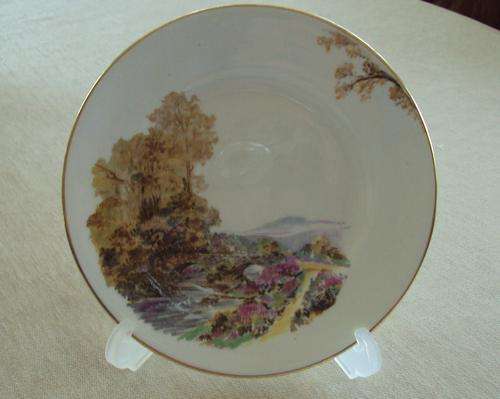 SHELLEY HEATHER SIDE PLATE