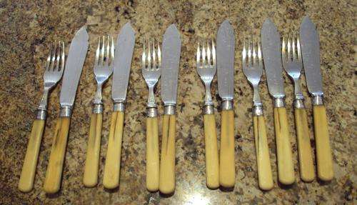 BONE HANDLED FISH SET