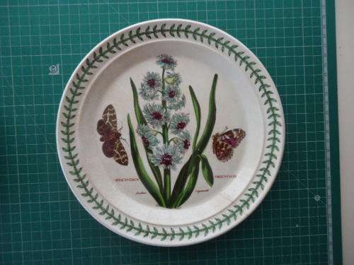 PORTMEIRION "BOTANIC GARDEN" 22cm PLATE c1970