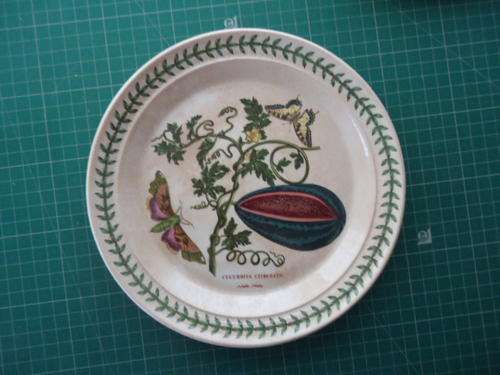 PORTMEIRION "BOTANIC GARDEN" 22cm PLATE c1970