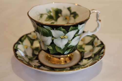 ROYAL ALBERT PROVINCIAL FLOWERS 2nd GRADE