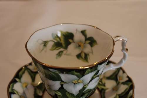 ROYAL ALBERT PROVINCIAL FLOWERS 2nd GRADE
