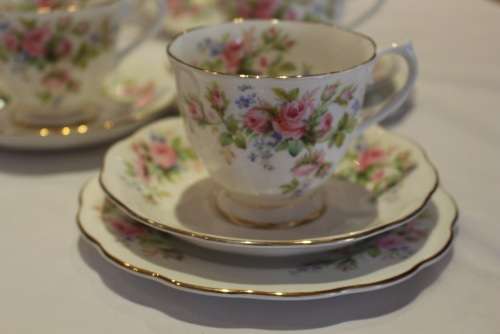 SUPERB ROYAL ALBERT 21pc MOSS ROSE TEA SET