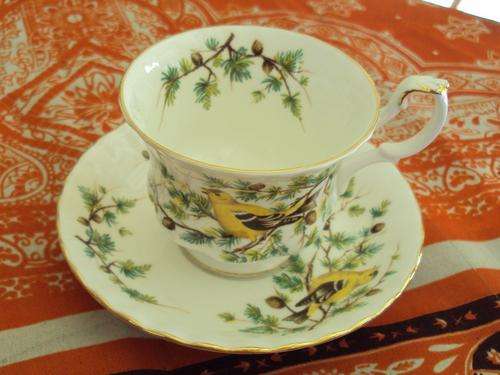 ROYAL ALBERT GOLDFINCH DUO