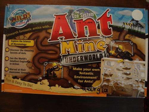 educational toy - ant mine underworld