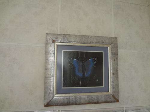 Painting - Framed Butterfly - 36 cm in length