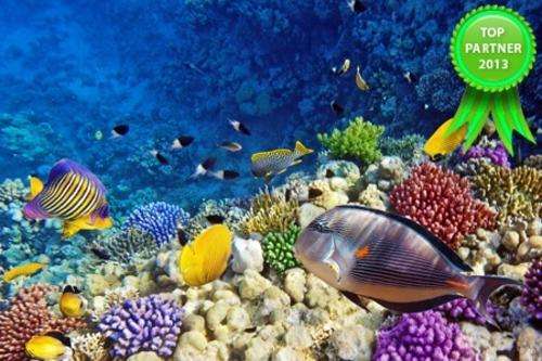 Ushaka Marine World Combo ticket valued at R185