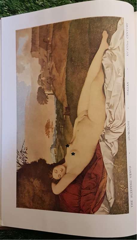 The Classical Figure - Bryan Holme