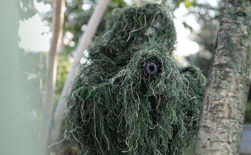 3D Ghillie Suits - Woodland