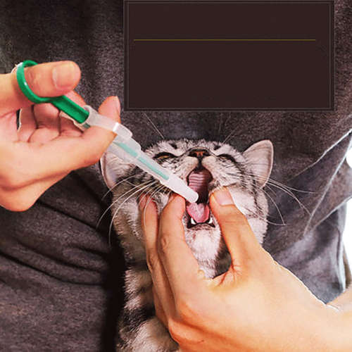 Pet Pill Shooter - Tablet Syringe Pusher Soft Tip Pet Food & Medicine Feeder - GREEN