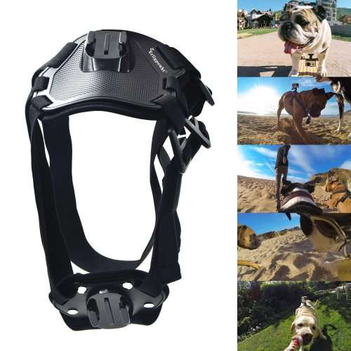 Pet Photography Harnass Bracket Strap GoPro Holder