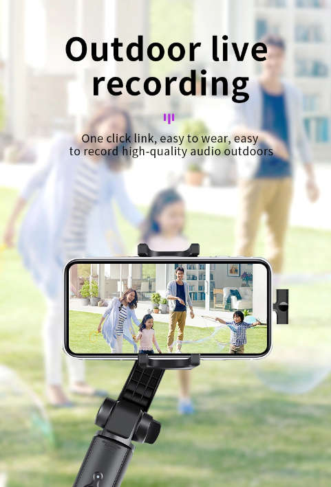 Type C Wireless Microphone
