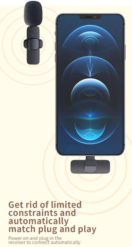 Type C Wireless Microphone