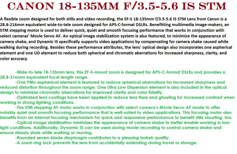 CANON EFS 18-135MM F/3.5-5.6 ( IMAGE STABILIZER ) IS STM LENS FOR CANON  IN EXCELLENT CONDITION