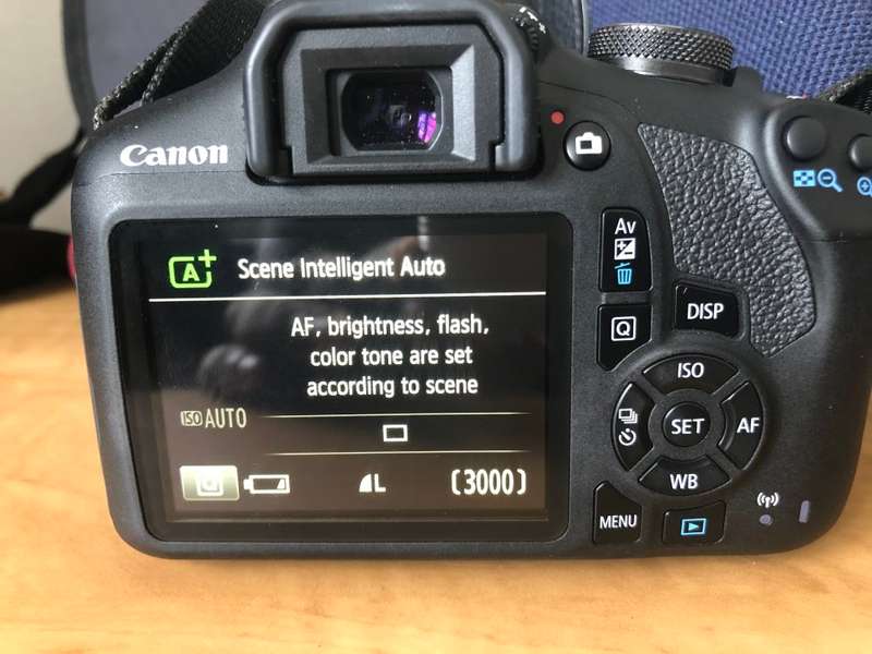 Canon 2000D 24MP DSLR Lens Kit with Canon 18-55MM ZOMM Lens WITH 16GB SD CARD