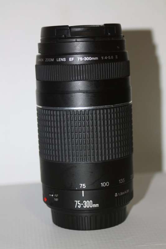 Canon EF 75-300mm f/4-5.6 III Telephoto Zoom Lens for Canon SLR Cameras