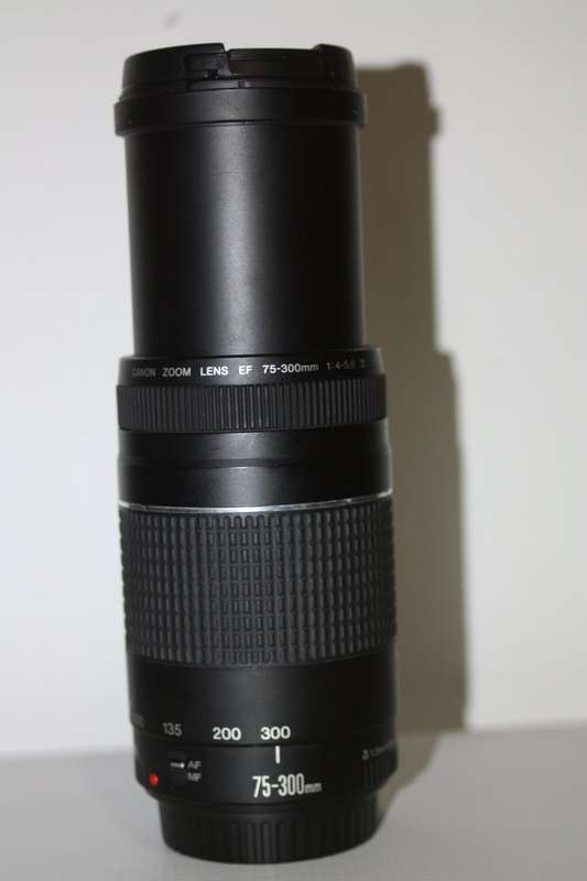 Canon EF 75-300mm f/4-5.6 III Telephoto Zoom Lens for Canon SLR Cameras