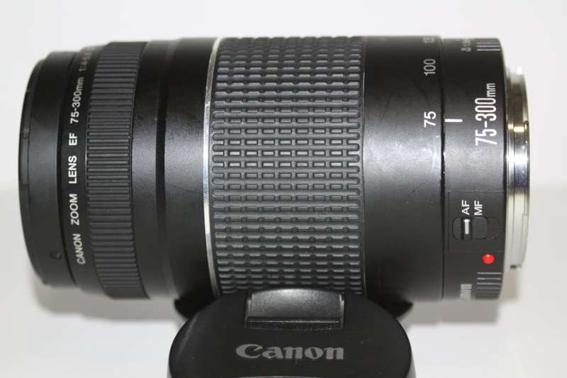 Canon EF 75-300mm f/4-5.6 III Telephoto Zoom Lens for Canon SLR Cameras