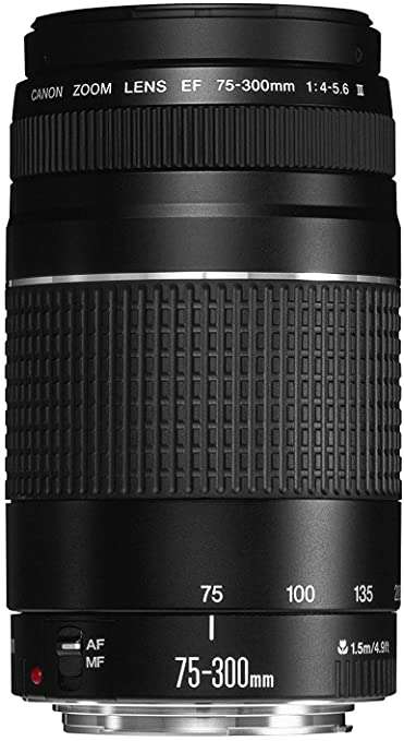 Canon EF 75-300mm f/4-5.6 III Telephoto Zoom Lens for Canon SLR Cameras , BRAND NEW  , BOXE