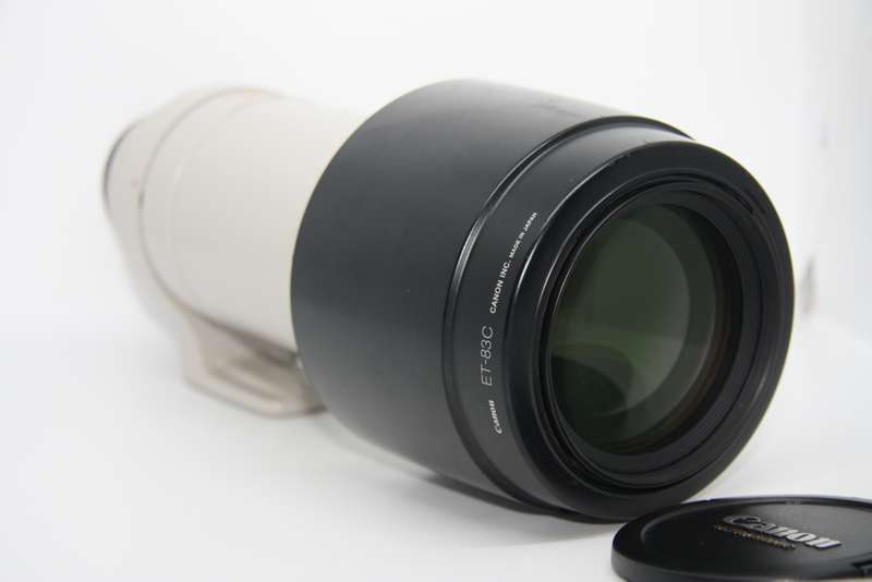 Canon EF 100-400mm f/4.5-5.6L IS USM Telephoto Zoom Lens for Canon SLR Cameras