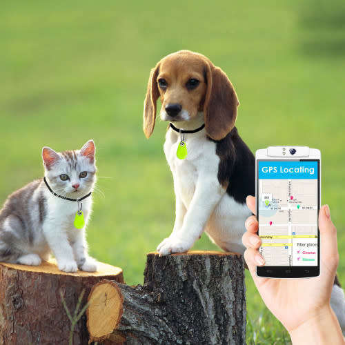 iTag iTracing Mini Smart Finder Bluetooth Tracer Pet Child GPS Locator Alarm - Random colours