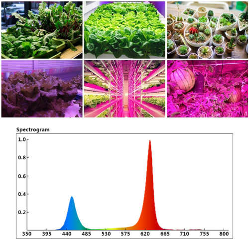 1200W 250LED Round Plant Growing Lamp Indoor Greenhouse Plant Grow Light
