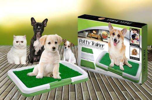 Dog potty trainer